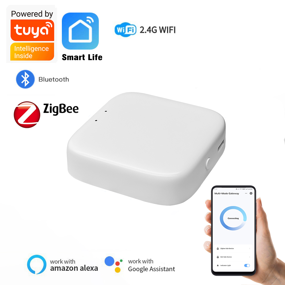 Smart Home Website - Gateway Zigbee per Dispositivi Tuya, Hub
