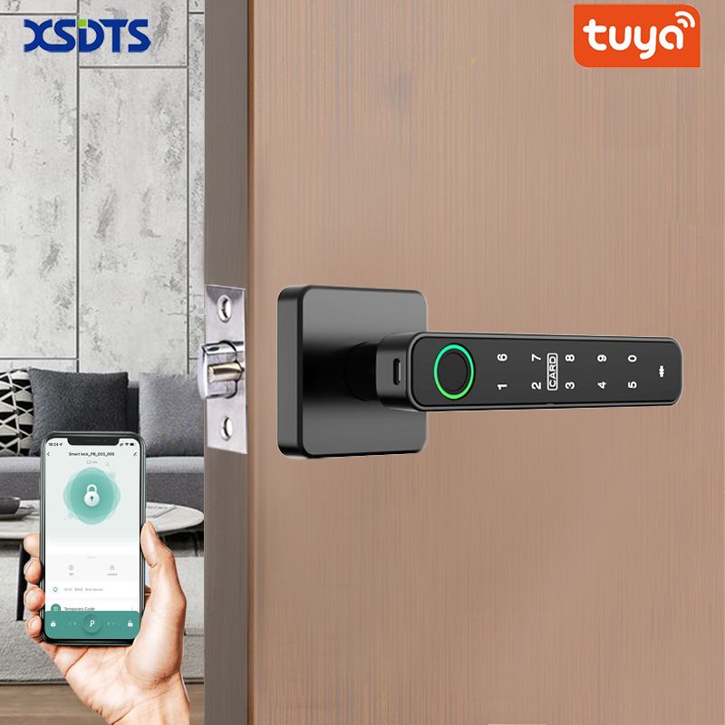 Smart Home Website - Serratura Digitale Intelligente XSDTS Tuya con