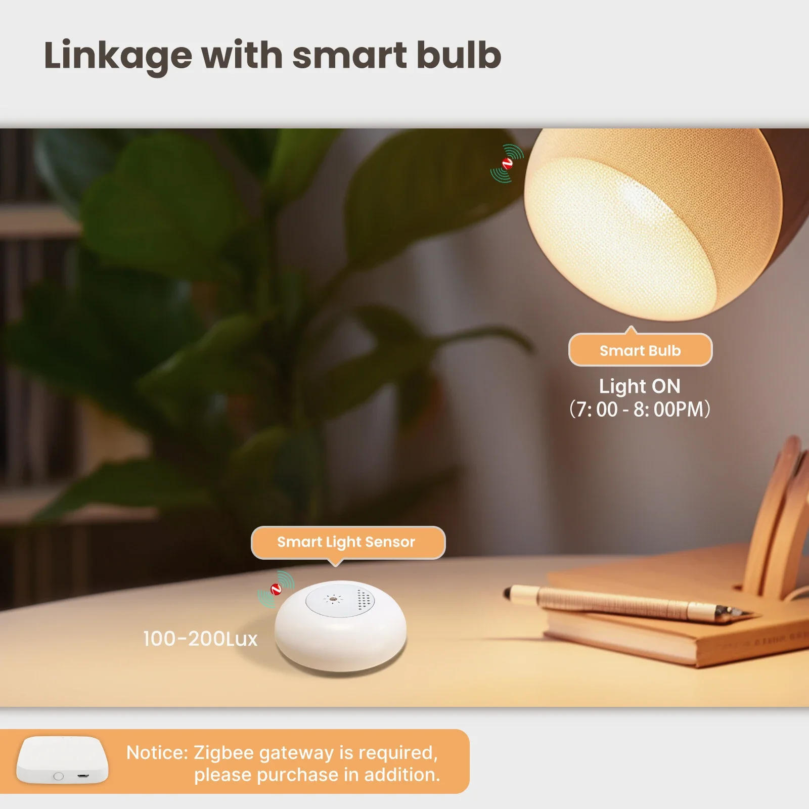 MOES Tuya Zigbee Sensore di lu - Smart Home Moes recensione e prezzo