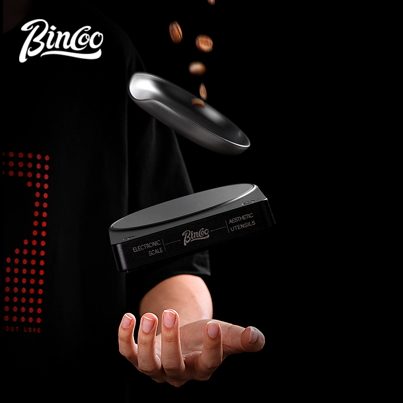 BINCOO Bilancia digitale per c - Smart Home Blog recensione e prezzo