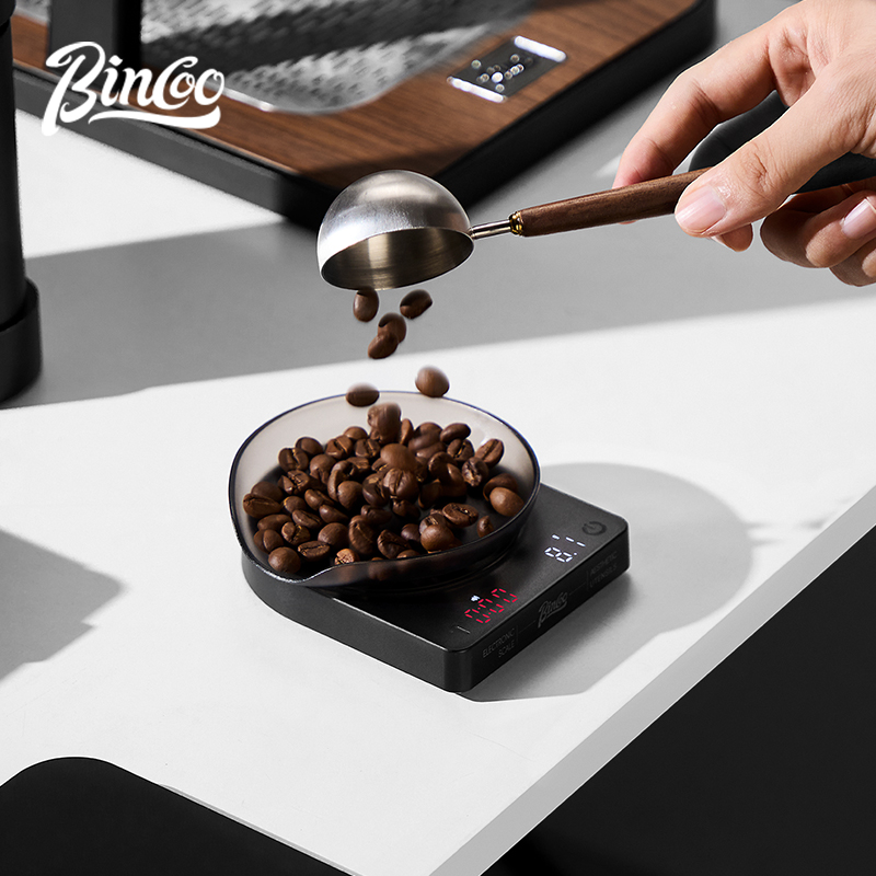 BINCOO Bilancia digitale per c - Smart Home Blog recensione e prezzo