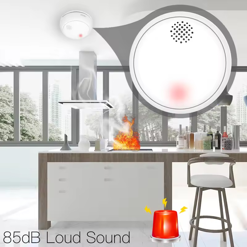 Rilevatore di Fumo Wireless In - Smart Home Moes recensione e prezzo