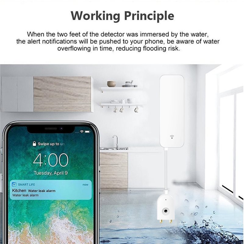 Sensore di Allarme per Allagam - Wifi Water Sensor recensione e prezzo