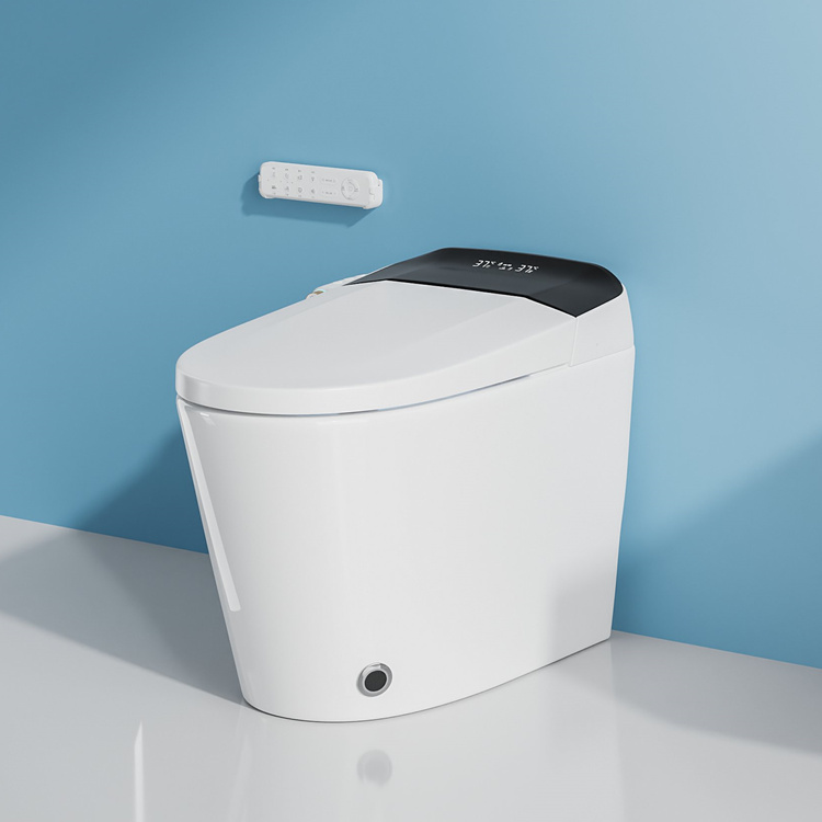 WC Intelligente con Sensore di - Smart Home Decor recensione e prezzo
