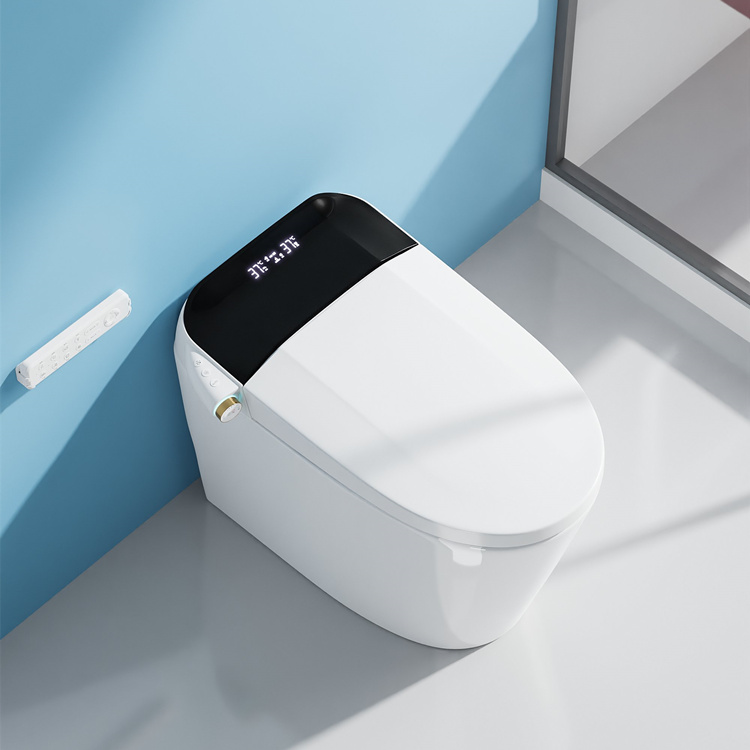 WC Intelligente con Sensore di - Smart Home Decor recensione e prezzo