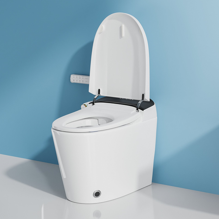 WC Intelligente con Sensore di - Smart Home Decor recensione e prezzo
