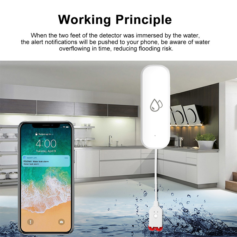 Sensore Allarme Perdite d'Acqu - Wifi Water Sensor recensione e prezzo