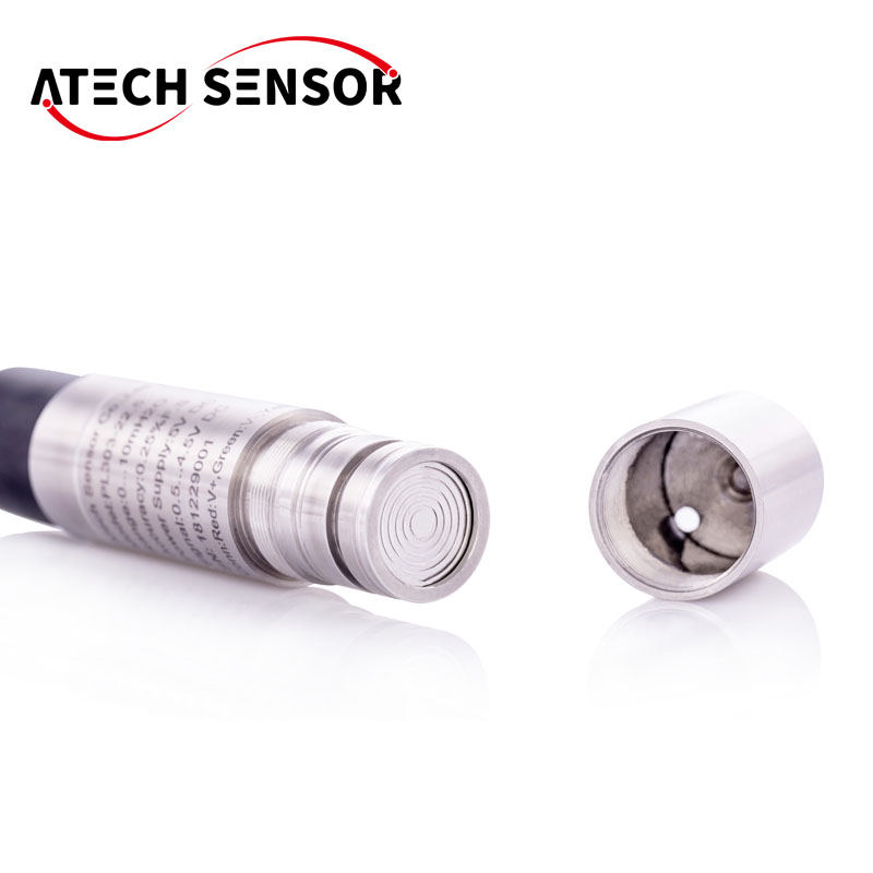 Sensore Digitale Wireless di L - Wifi Water Sensor recensione e prezzo